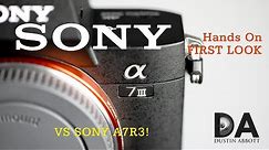 Sony a73 vs Sony a7R3: First Look | 4K