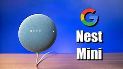 Setting Up the Google Nest Mini, New Features & World Wide Duo Calls