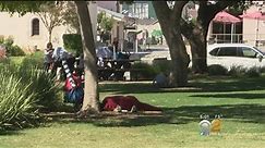 Concern Grows Over Homelessness, Incident Of Sex In Public At Popular Santa Monica Park