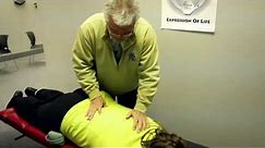 The Chiropractic Adjustment with Dr. Fred Schofield