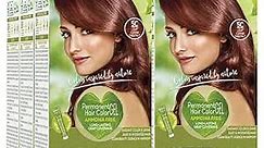 Naturtint Permanent Hair Color 5C Light Copper Chestnut (Pack of 6), Ammonia Free, Vegan, Cruelty Free, up to 100% Gray Coverage, Long Lasting Results