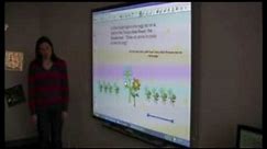 Launch of the SMART Board™ Interactive Classroom