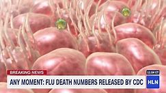 CDC flu update Cohen