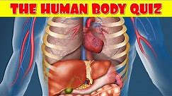 Human Body Quiz | How Much Do You Know About the Human Body?