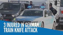 3 injured in German train knife attack