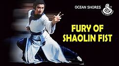 Wu Tang Collection - Fury of Shaolin Fist