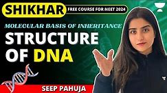 Structure of DNA | Molecular Basis of Inheritance | NEET 2024 | Seep Pahuja