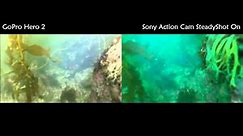 Sony Action Cam vs GoPro Hero 2 - Underwater Comparison (No Flat Lens)