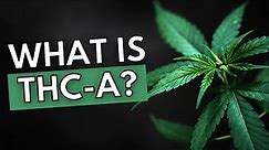 What is THC-A?