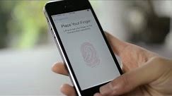 Apple iPhone 5s Fingerprint Demo & Setup Guide
