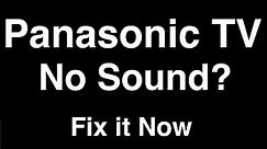 Panasonic TV No Sound - Fix it Now