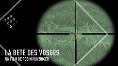 La bête des Vosges, autopsie d'une rumeur