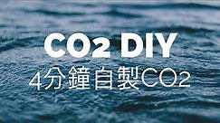 【水族筆記】CO2 DIY：4分鐘快速學會自製二氧化碳，詳細步驟教學！