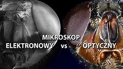 Mikroskop ELEKTRONOWY vs OPTYCZNY