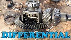 How a Differential Works