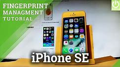 Add Fingerprint APPLE iPhone SE - Use Fingerprint / Unlock Screen