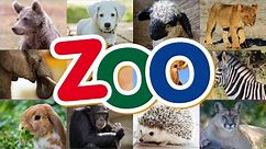 100 zwierząt - Zwierzęta dla dzieci - Odgłosy zwierzaków