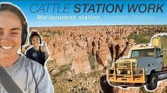 NT STATION WORK - experiencing living and working on a NT cattle station