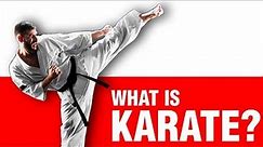 What is Karate? | ART OF ONE DOJO