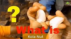 What is "Kola Nut" ? 🌰