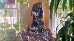 DIY Waterfall made from Styrofoam & Concrete / Indoor Zen Garden