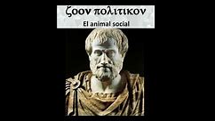 Zoon Politikon Aristóteles, El animal Social