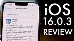 iOS 16.0.3 Review! (Features, Changes, Etc.)