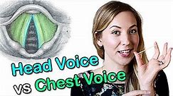 Head Voice vs Chest Voice: Vocal registers explained
