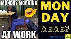 Todays Funny Memes - Monday meme (Tomorrow is monday meme)