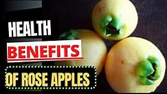 HEALTH BENEFITS of the Jamaican ROSE APPLE (Syzygium Jambos)