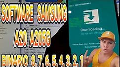 Software samsung galaxy a20 Binario 8, 7, 6, 5, 4, 3, 2, 1, a205g sm-a205g / Firmware samsung a20