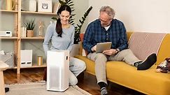 Best air purifiers 2024: Remove pet hair, smoke, dust and more