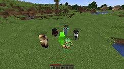 Dream's Minecraft speedrunner vs 5 hunters rematch: Who actually won?