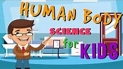 The Human Body | Science for Kids