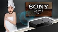Are you getting this with your new SONY TV?