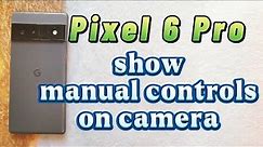 how to show manual controls on camera for Google Pixel 6 Pro