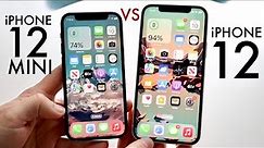 iPhone 12 Vs iPhone 12 Mini In 2023! (Comparison) (Review)