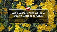 Cat’s Claw, From Colds & Flu to Cancer & AIDS