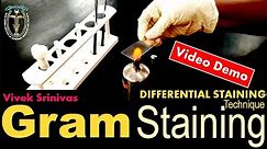 GRAM STAINING | Bacterial Staining Technique | Microbiology | Vivek Srinivas | #Bacteriology