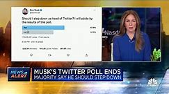 Elon Musk's Twitter poll ends; Majority say he should step down