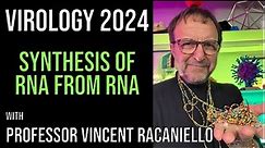 Virology Lectures 2024 #6: Synthesis of RNA from RNA