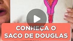 Cátia Damasceno on Instagram: "Pode colocar cenoura na cherollaynne? Louca, não pode enfiar objetos pontiagudos na cherollaynne. O Saco de Douglas, que não fica no Douglas e sim na gente, é uma pélicula muito fina que ajuda nos movimentos abdominais e que pode romper. Por isso, cuidado ao introduzir algo na sua cherollaynne, coloque só o que foi feito para colocar lá dentro. 😅 #saude #saudefeminina #catiadamasceno"