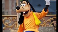 Disney Lawsuit: Goofy's Mishap at California Adventure