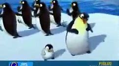 dansul pinguinilor original