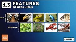 IGCSE Biology - Features of Organisms (1.3)