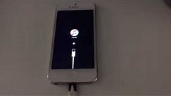 How to use an iPhone 5 stuck on iTunes caused by Pry Damage after Battery replacement