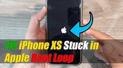 How to Fix iPhone XS Stuck In Apple Boot Loop
