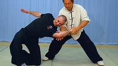 Tai Chi Fighting! Taijiquan Martial Applications (Yang-style 37-postures) YMAA