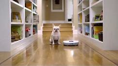 Introducing Neato Botvac: The Most Powerful Robot Vacuum