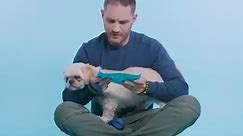 Tom Hardy meets dogs looking for rescue homes!